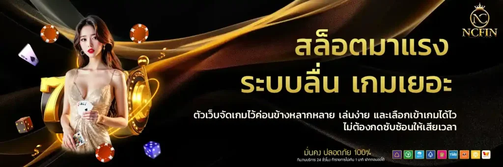 nc fin เครดิตฟรี