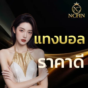 ncfin เครดิตฟรี